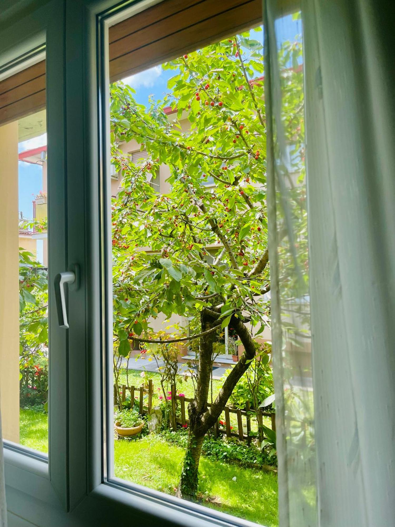 Le Rose Daire Trieste Dış mekan fotoğraf